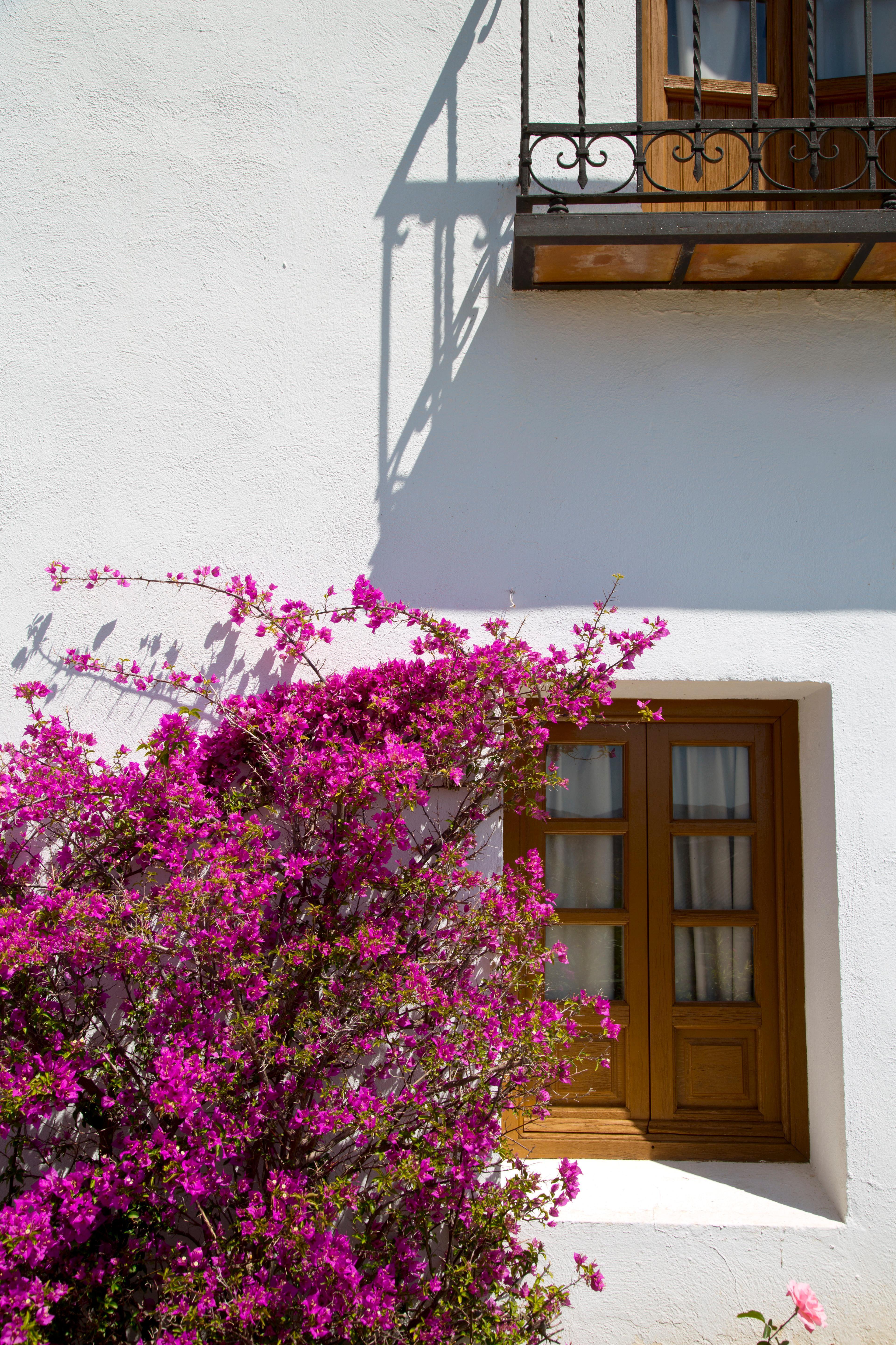 Villa Turistica De Priego Priego de Córdoba Eksteriør bilde